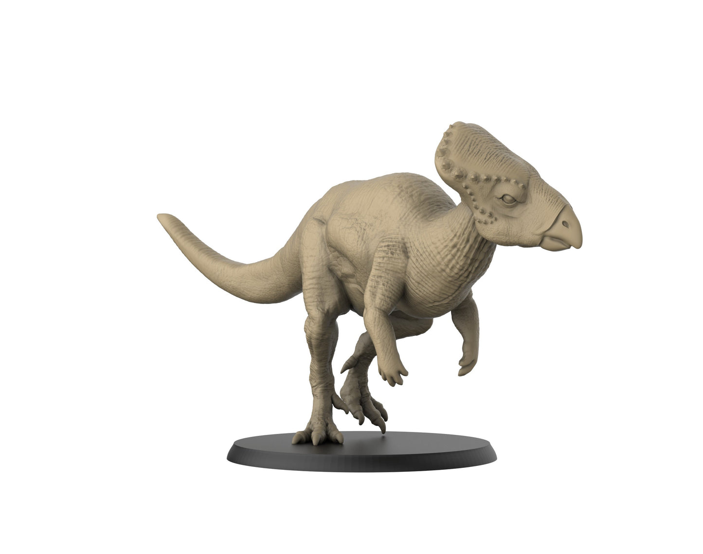 Graciliceratops/ Dinosaur