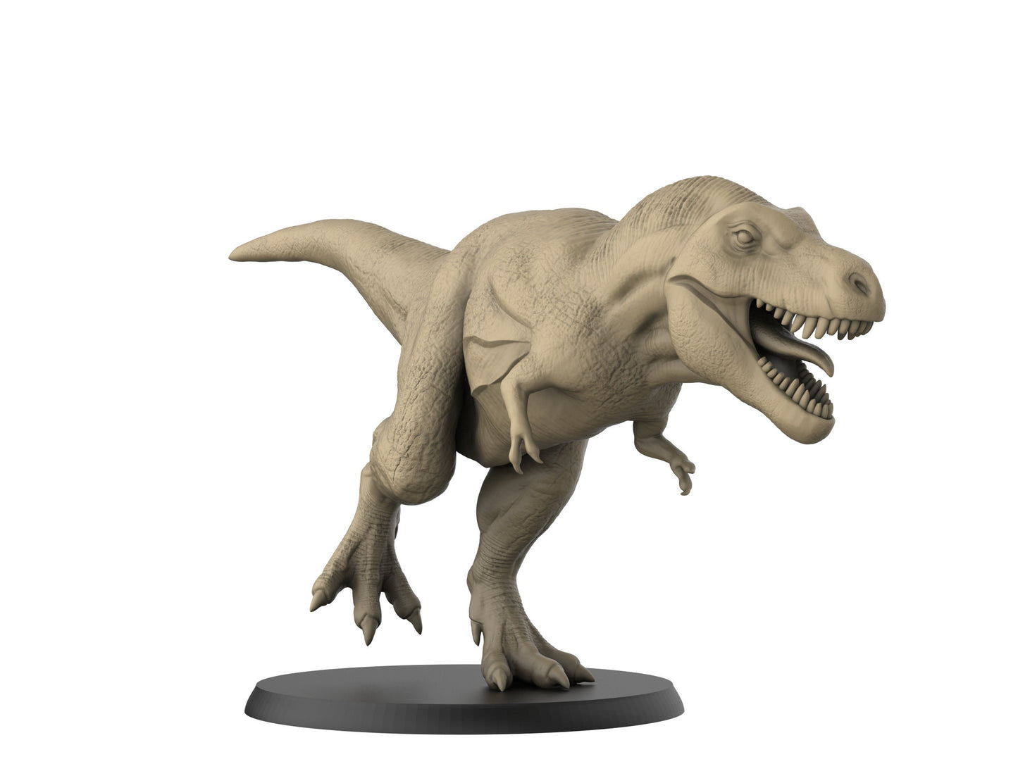 T-Rex/ Dinosaur