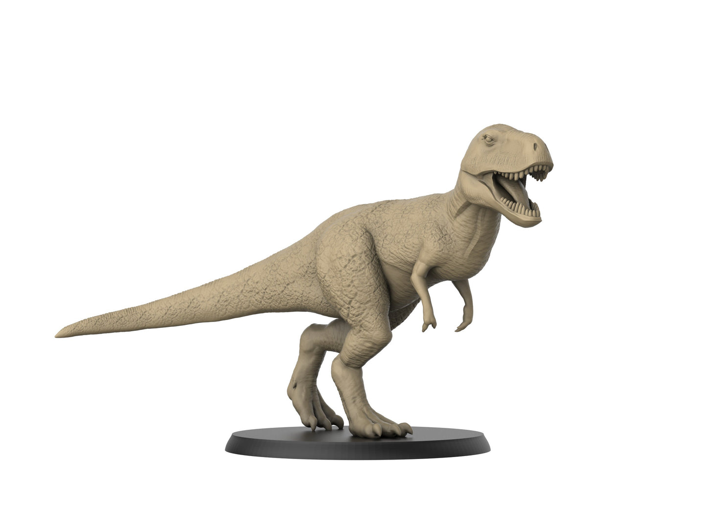 T-Rex/ Dinosaur