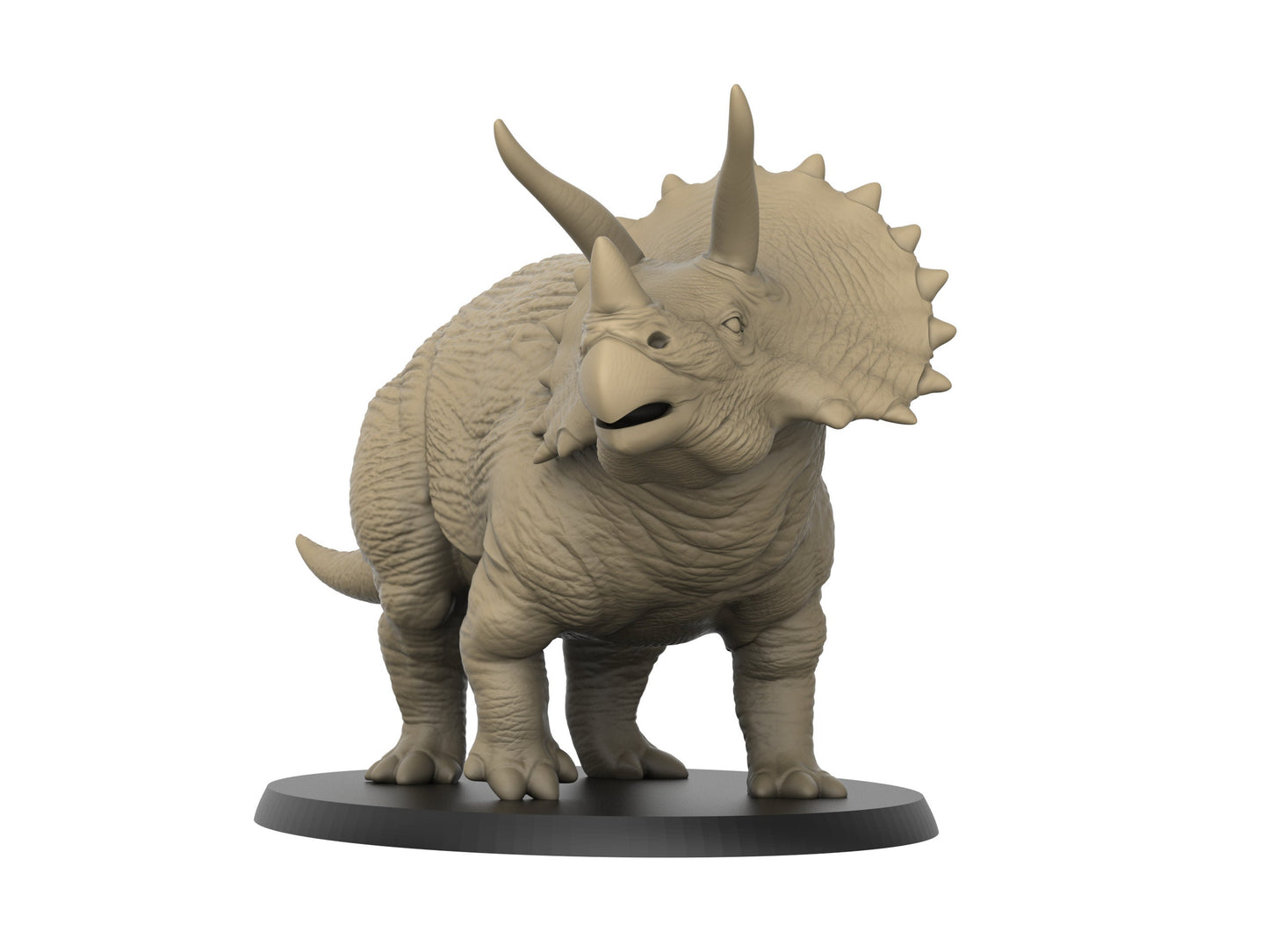 Trticeratops / Dinosaur