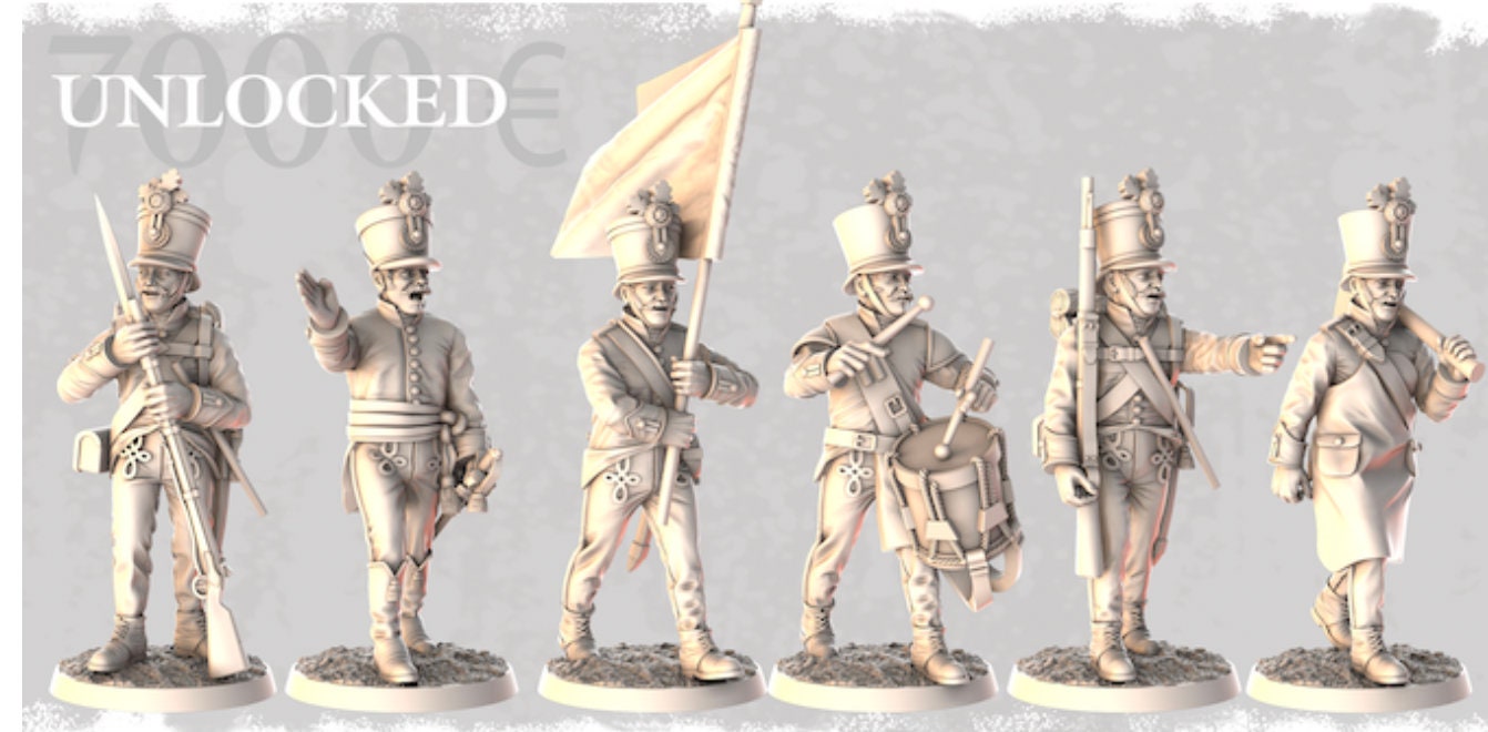 Fusiliers Napoleonic Wars Hungarian Command Order 1809