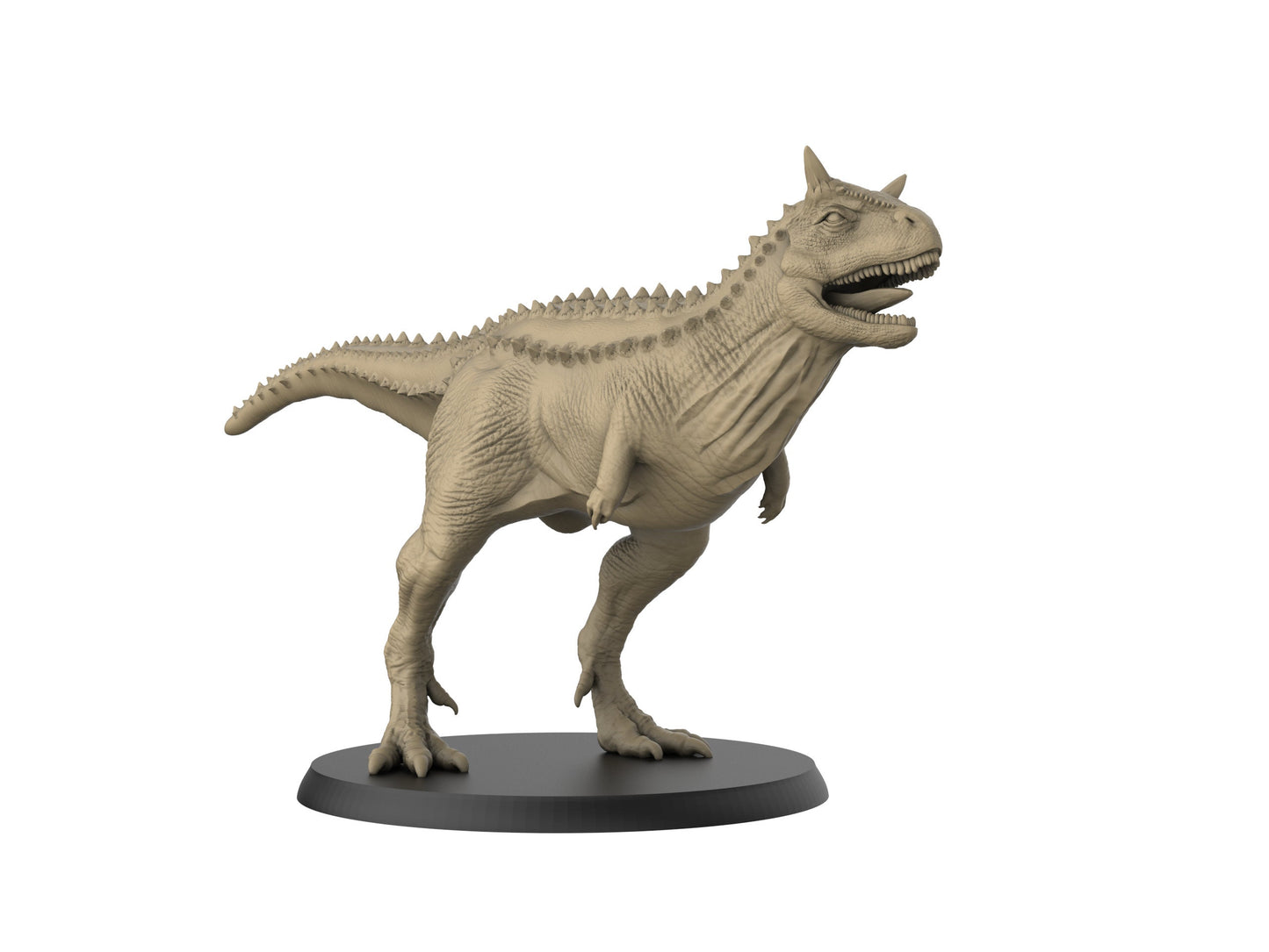 Carnotaurus / Dinosaur