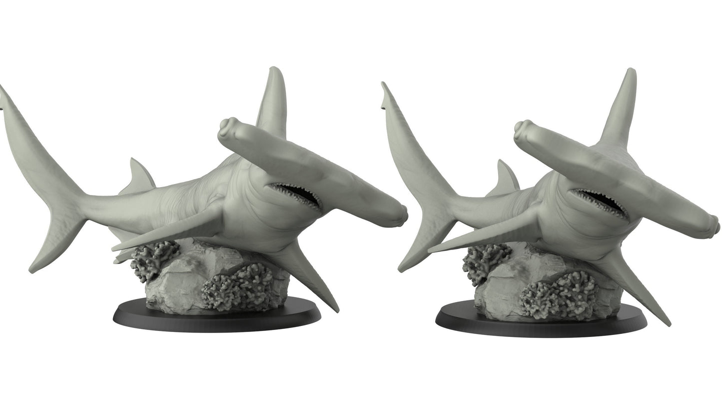 Hammerhead Shark