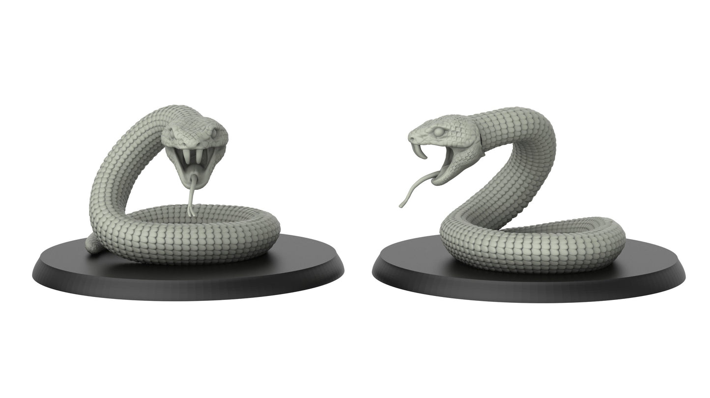Snake Cobra