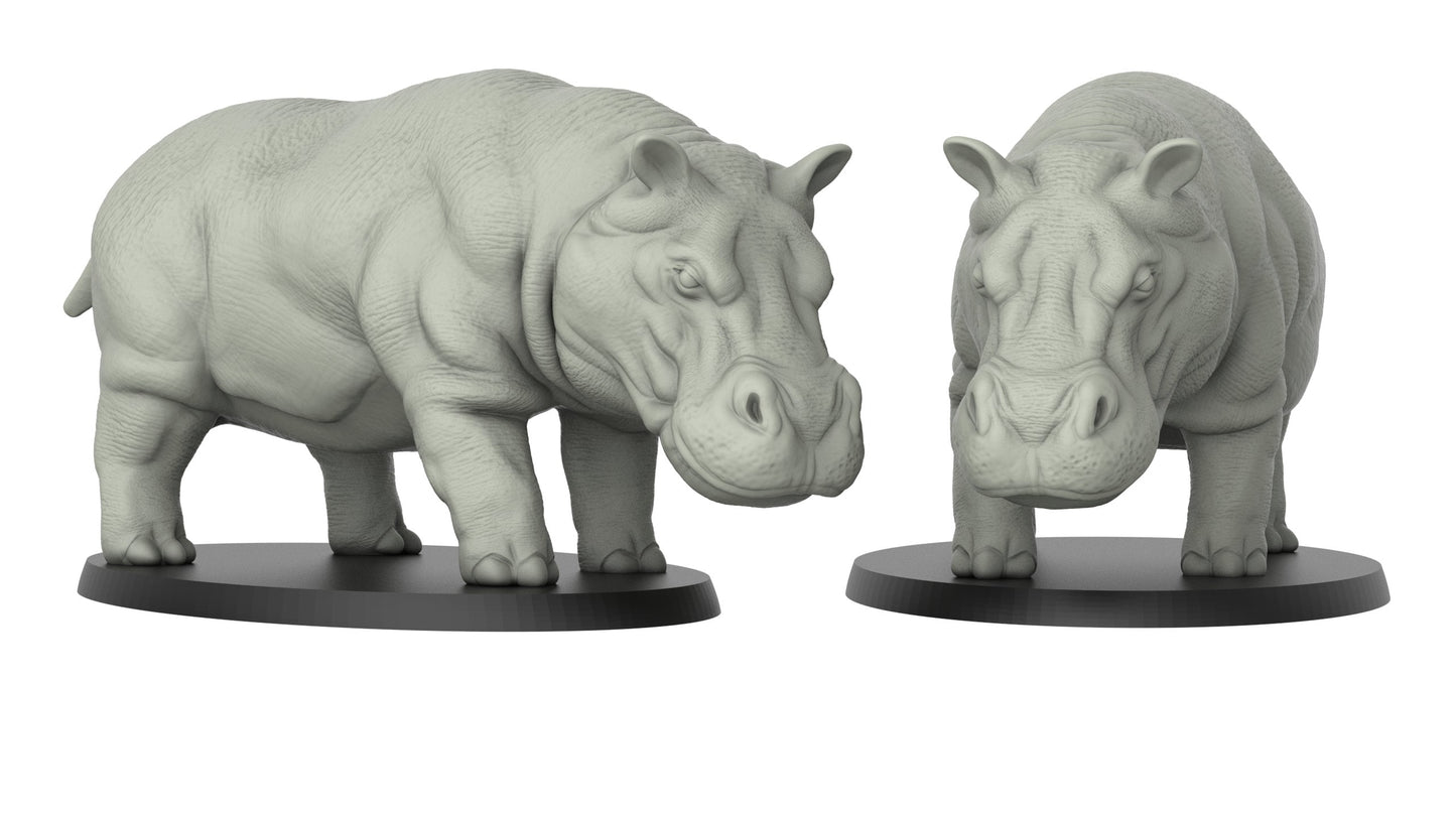 Hippopotamus