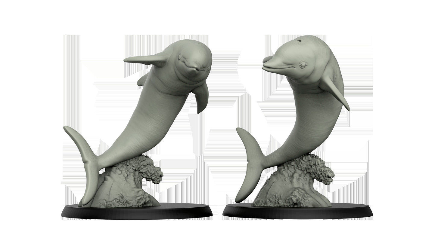 Dolphin
