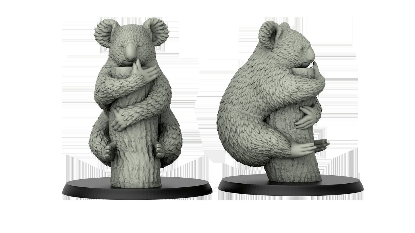 Koala