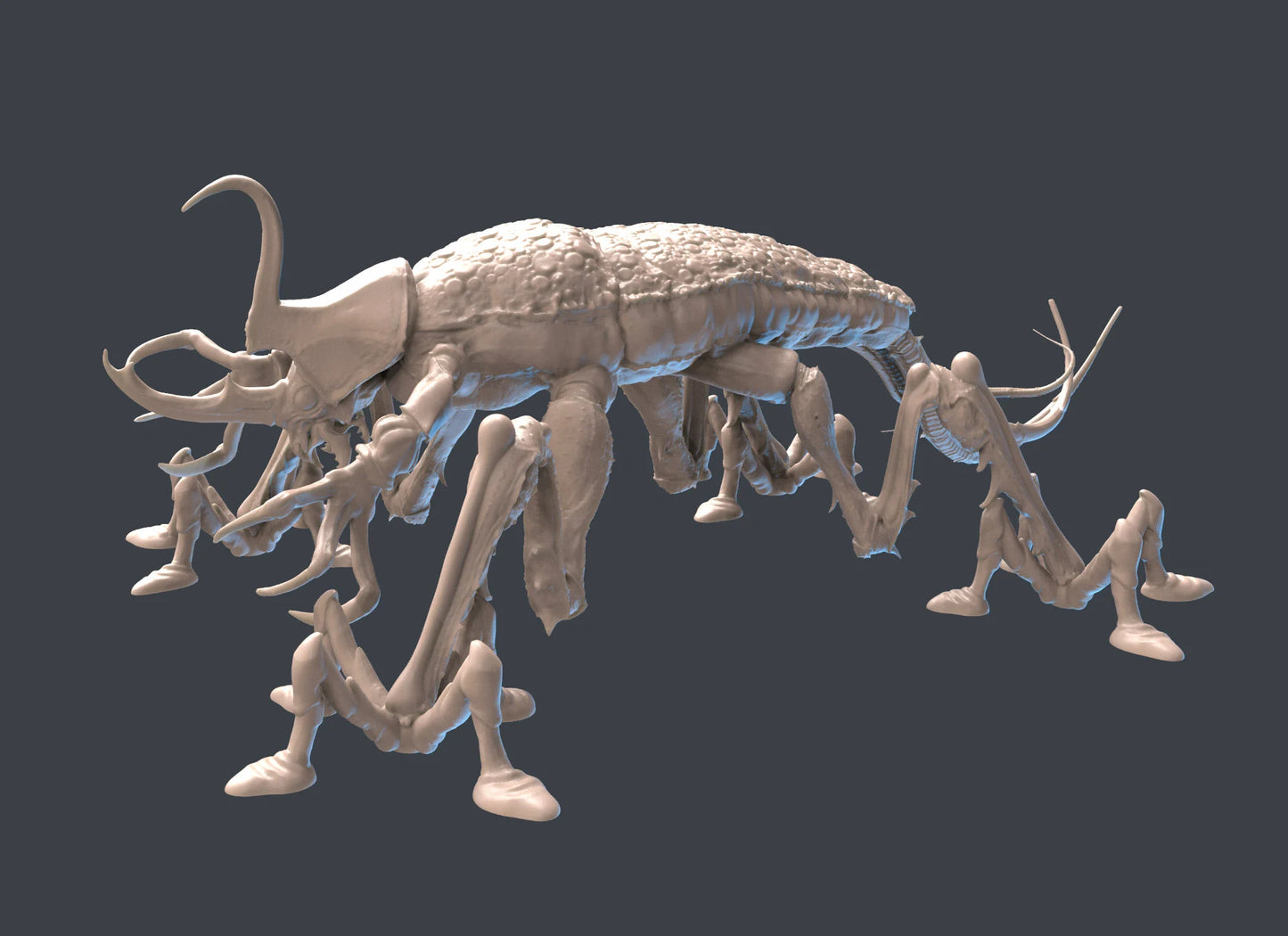 Aquapatra Water Walking Insect