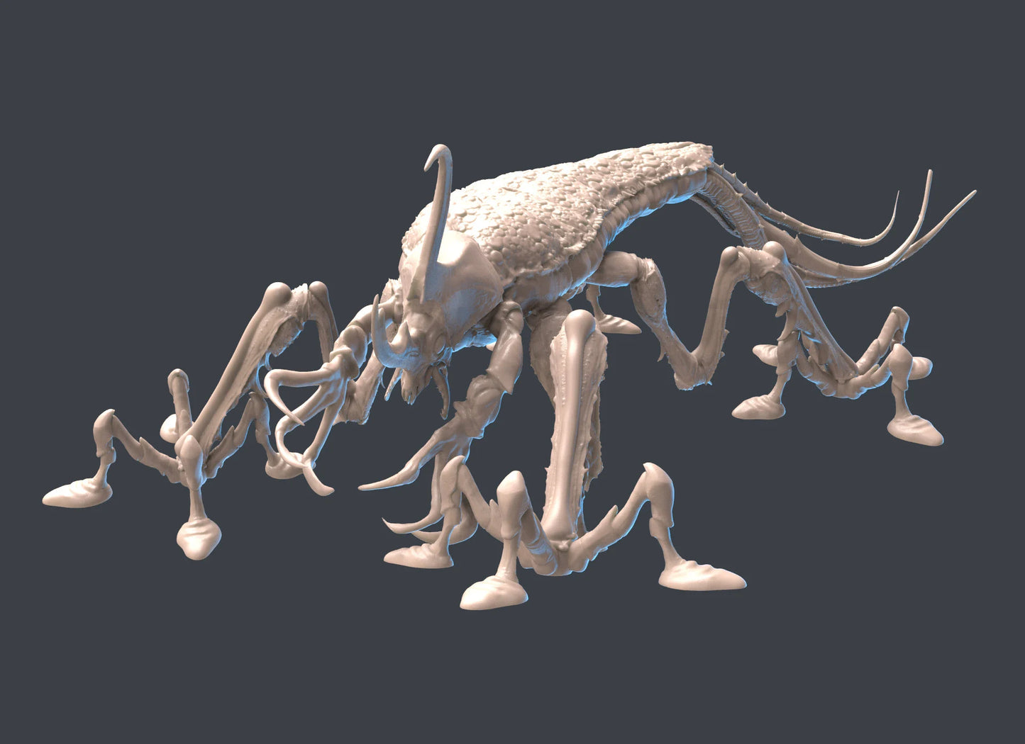 Aquapatra Water Walking Insect