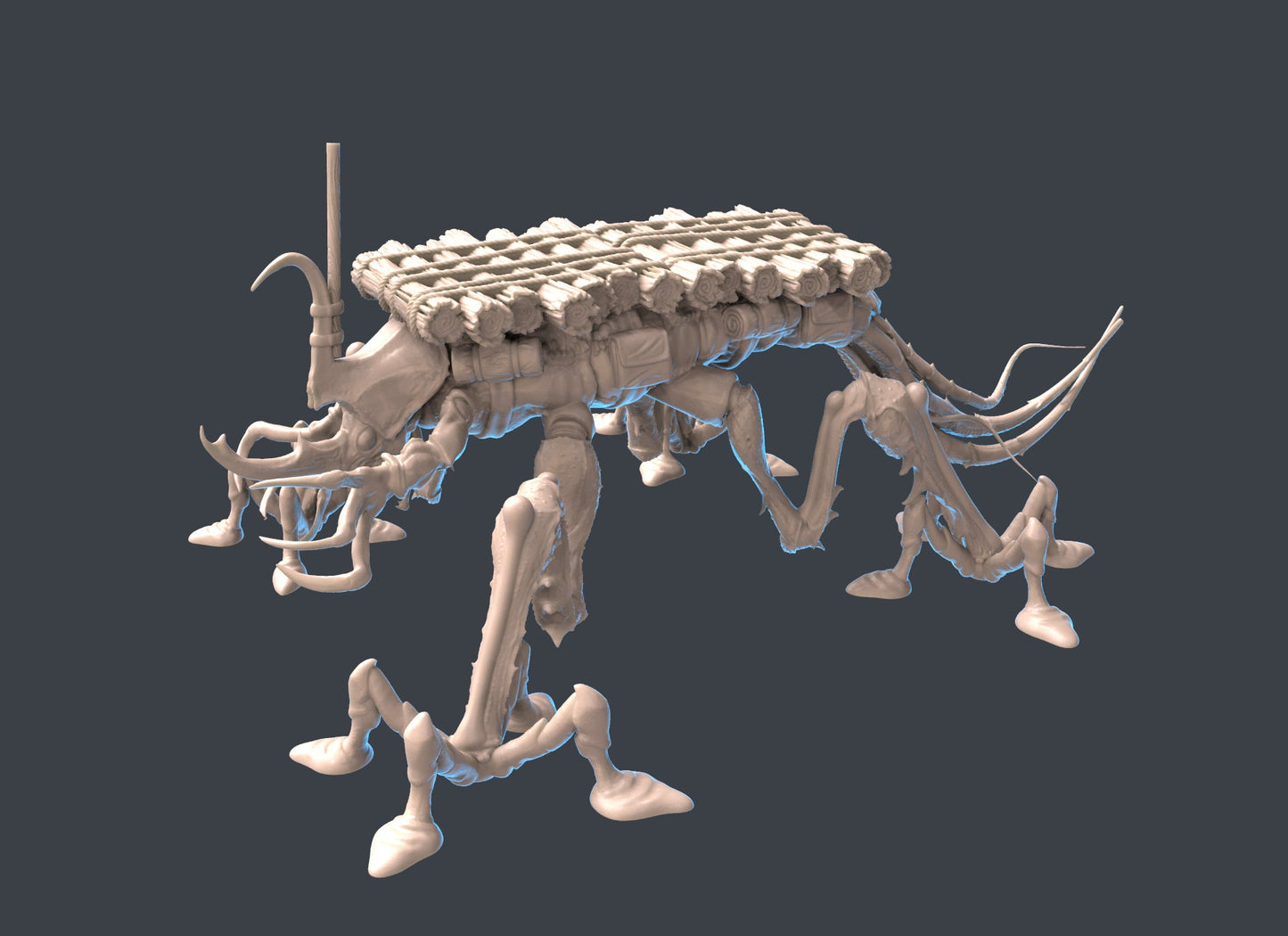 Aquapatra Water Walking Insect