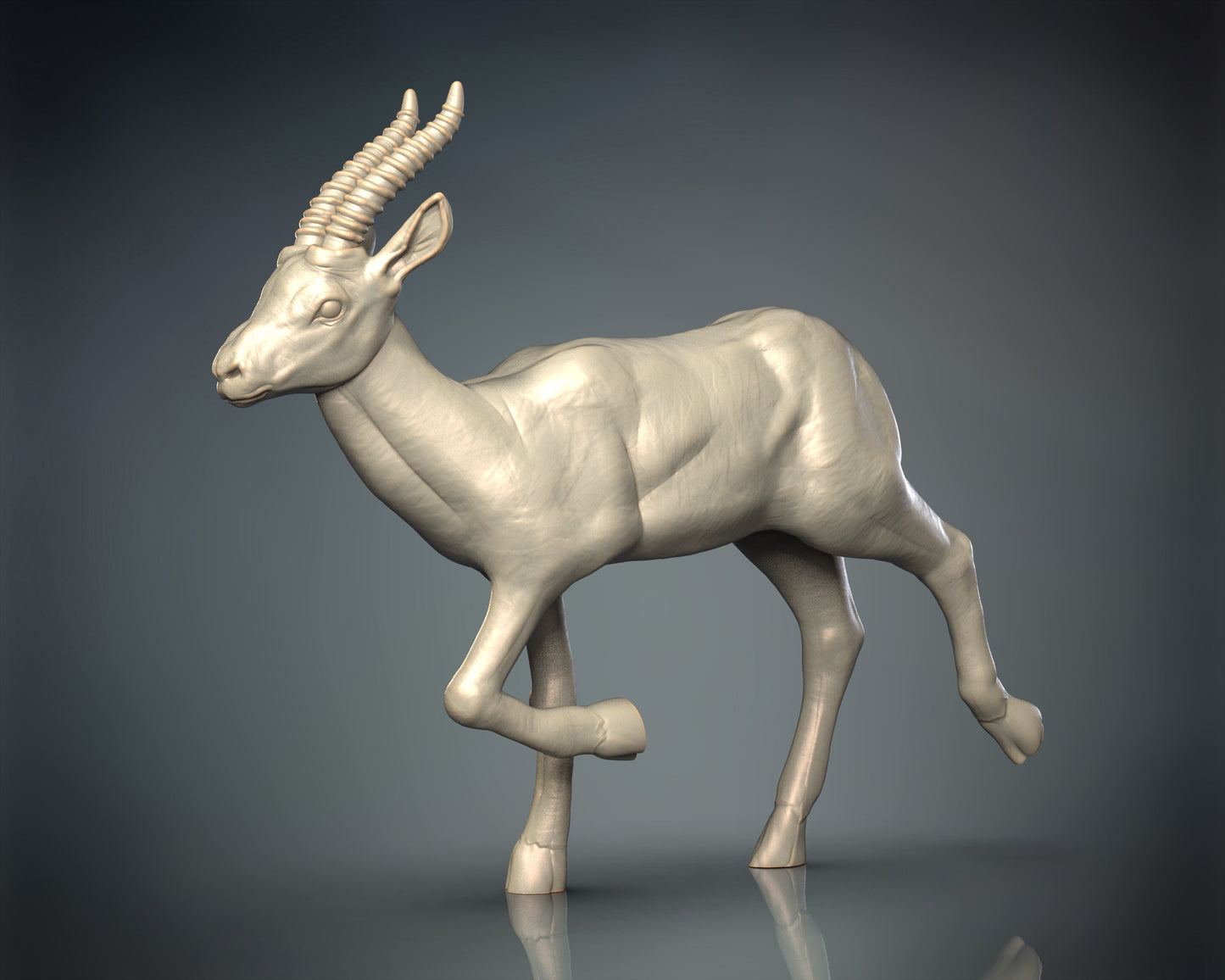 Gazelle