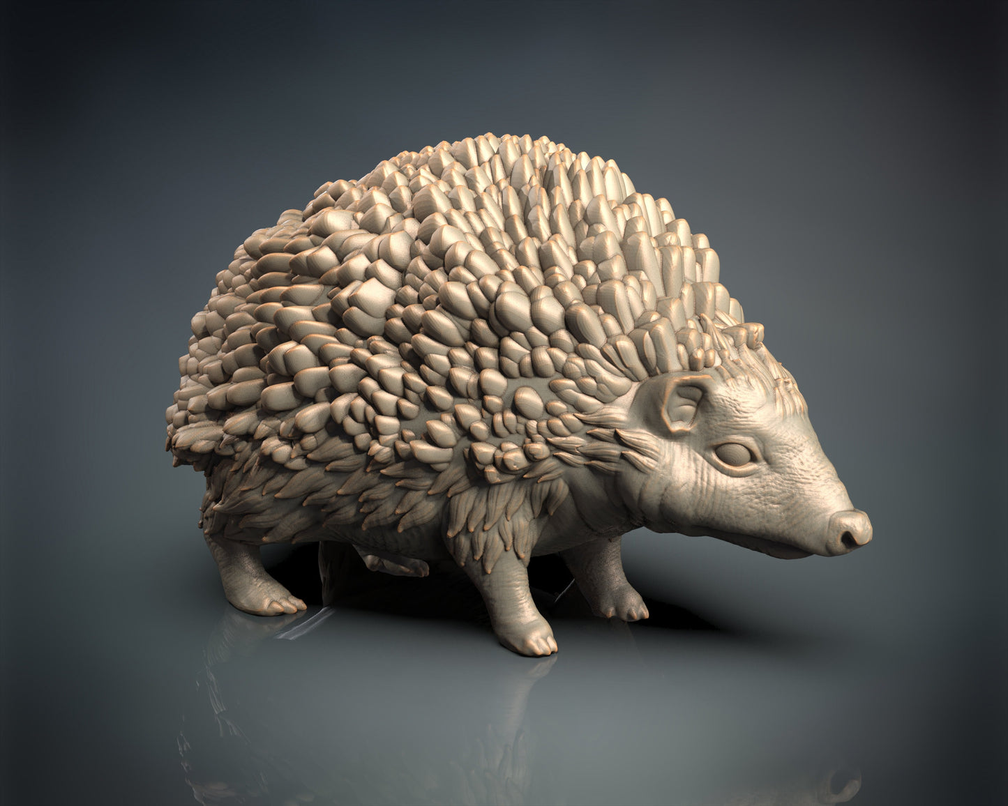 Hedgehog