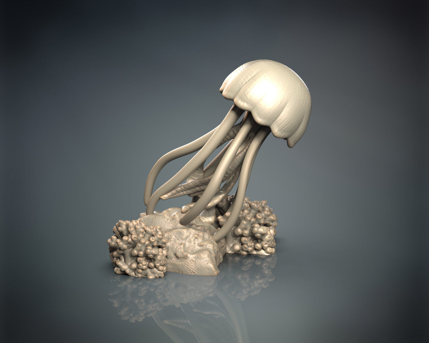 Jellyfish