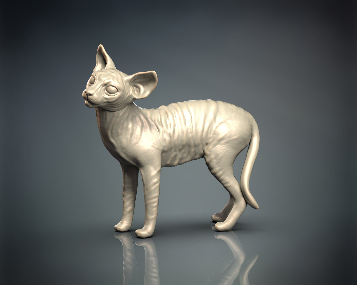 Sphynx
