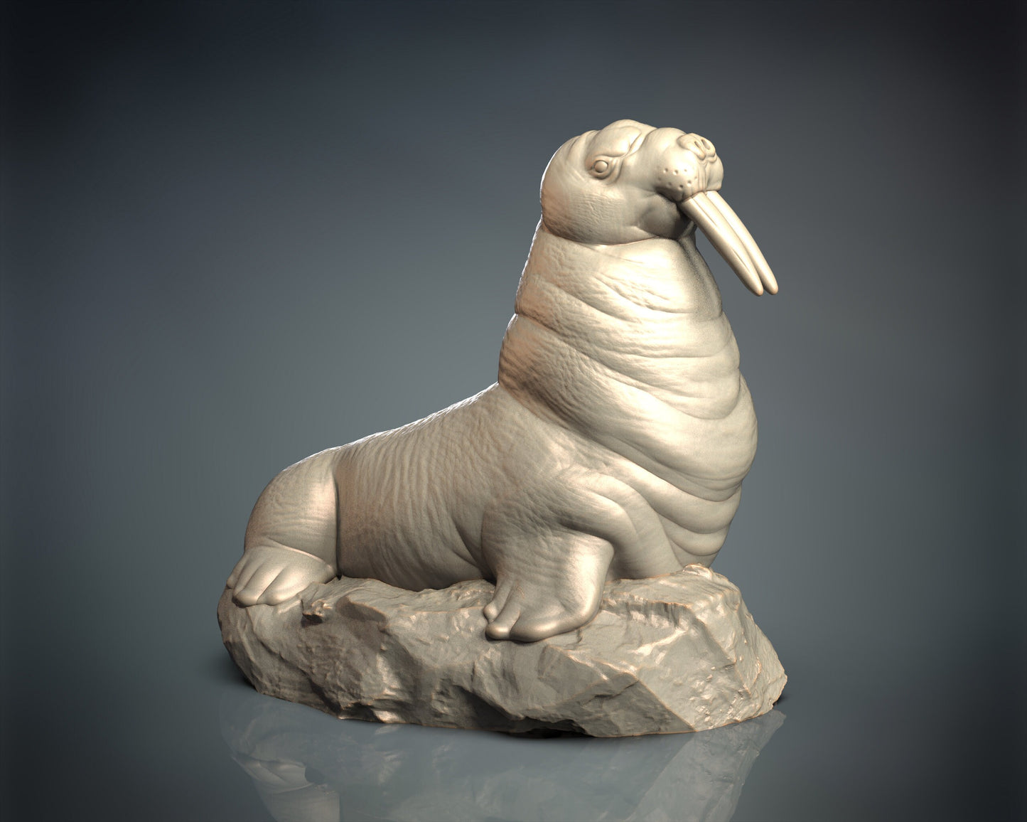 Walrus