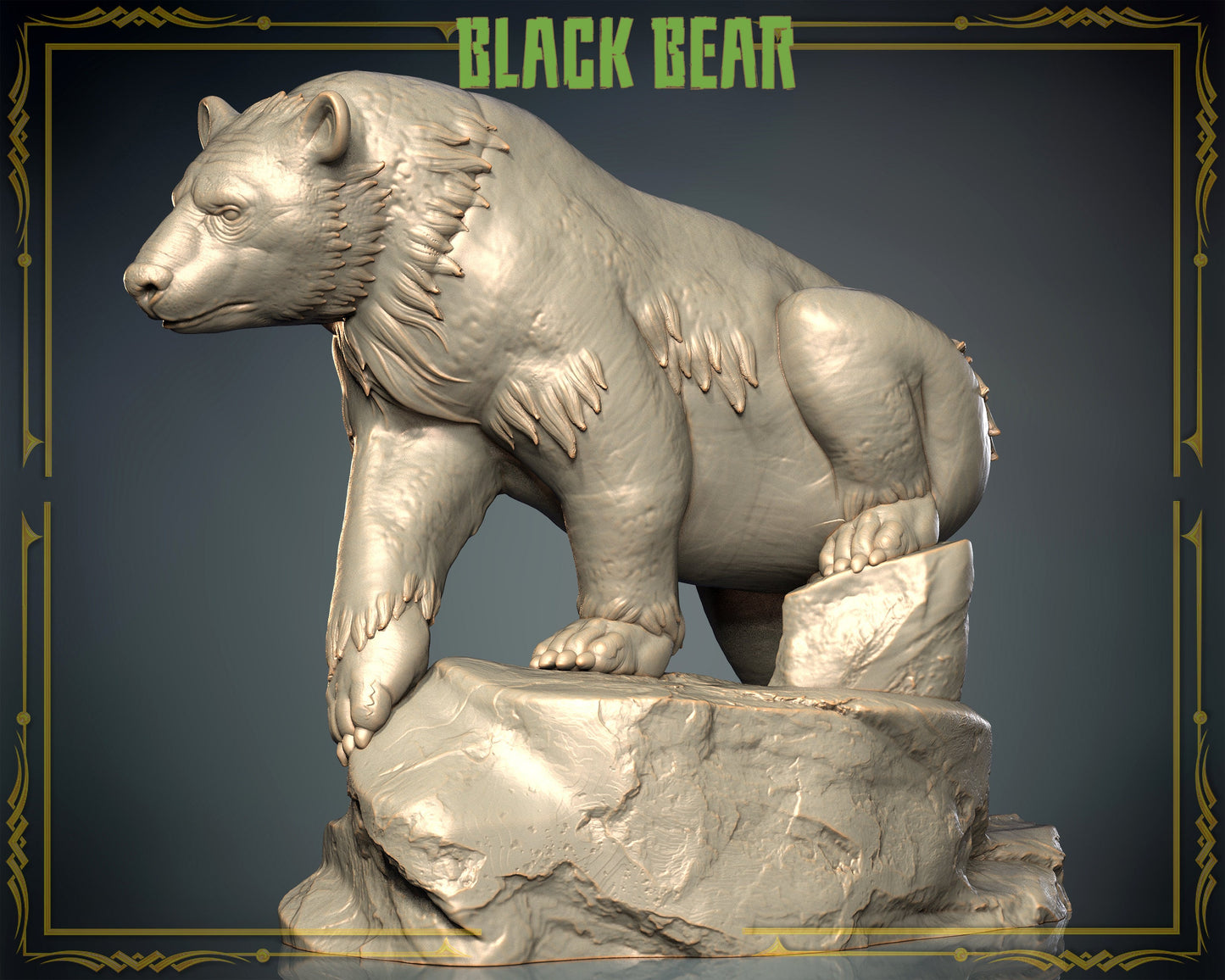 Black Bear