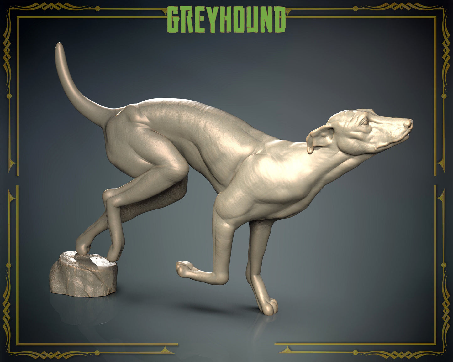 Greyhound