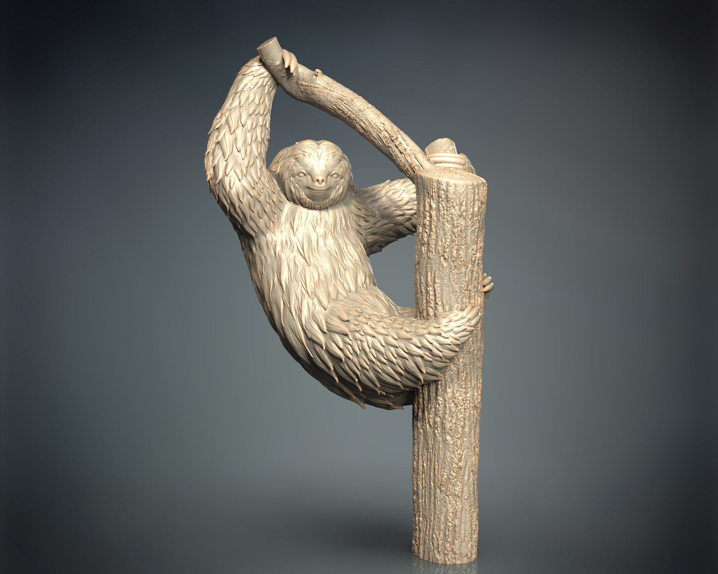 Sloth
