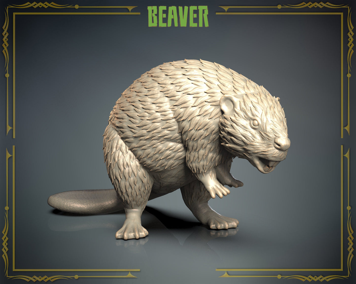 Beaver