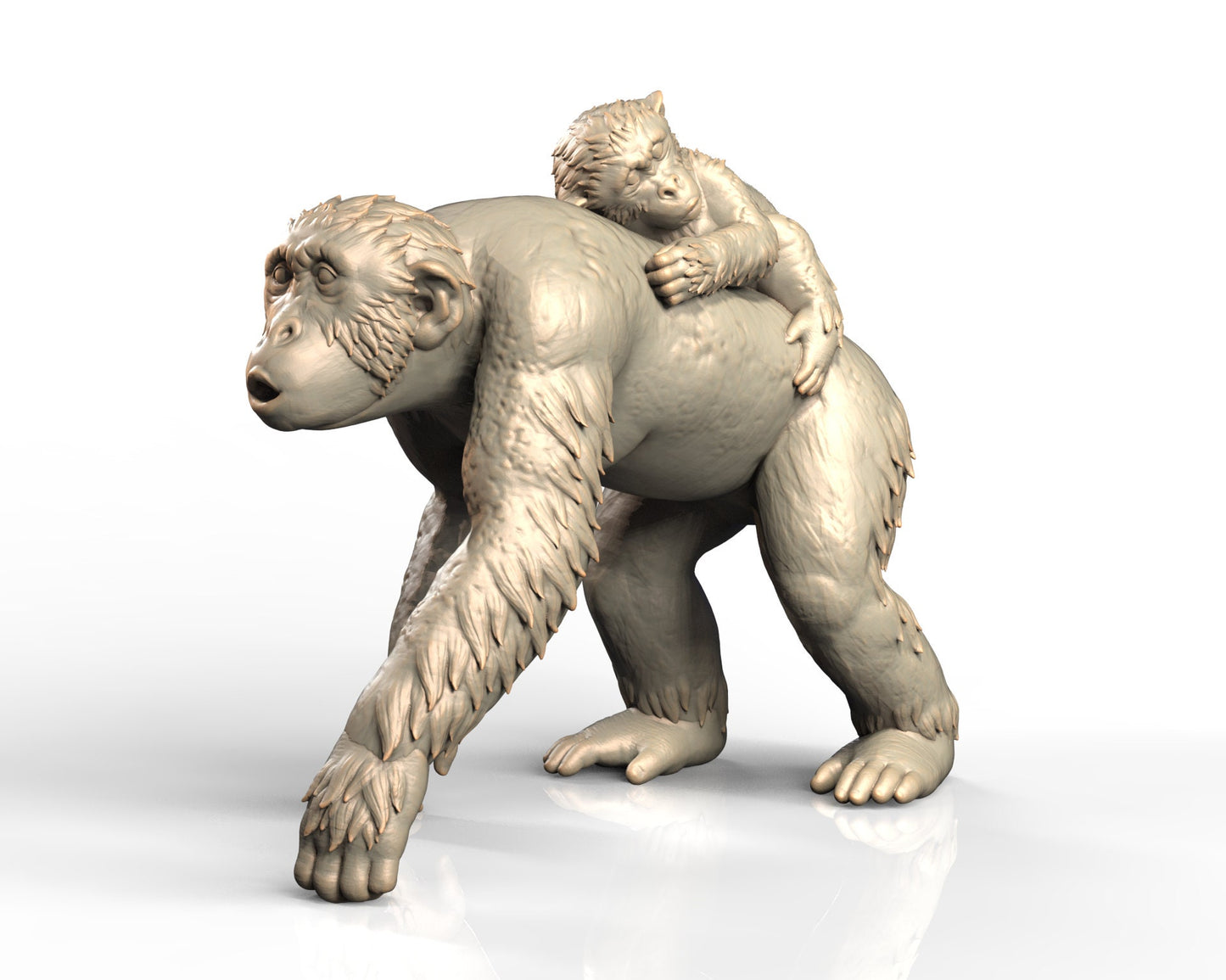 Chimp