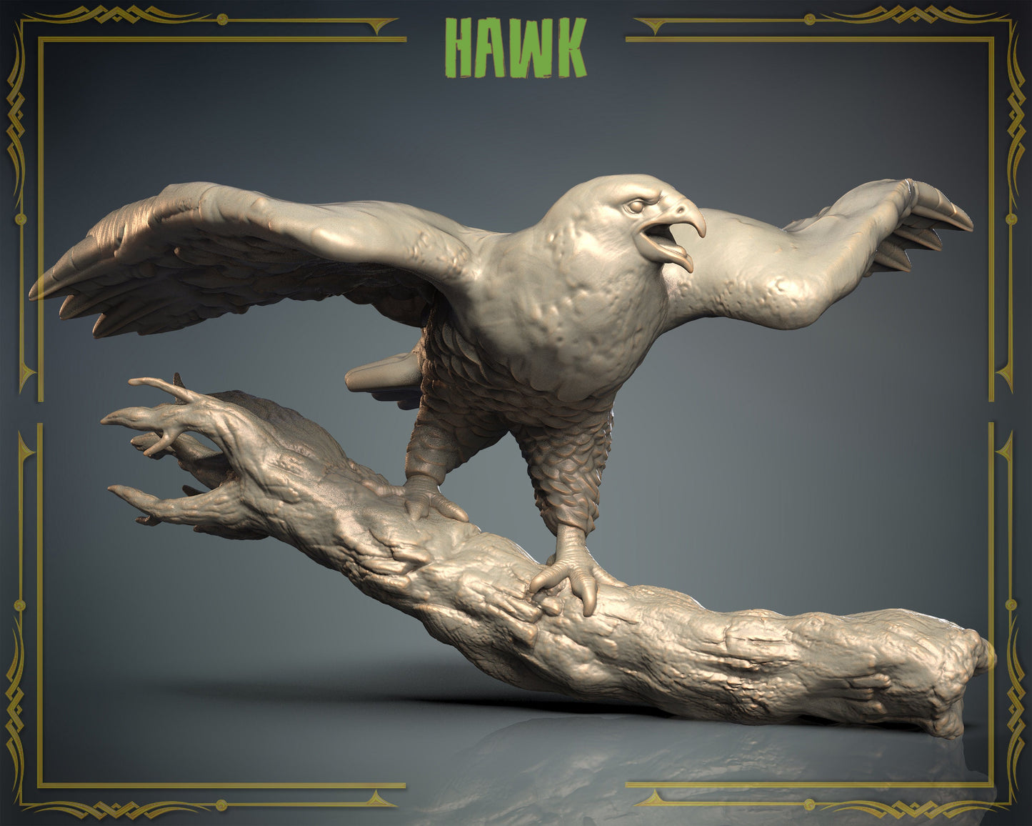 Hawk