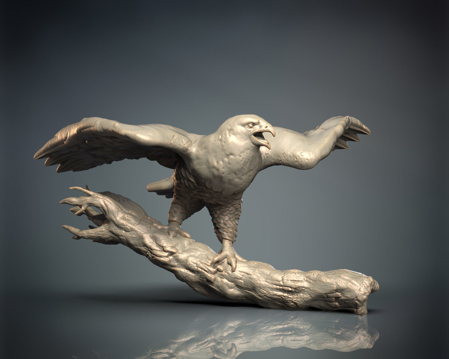Hawk