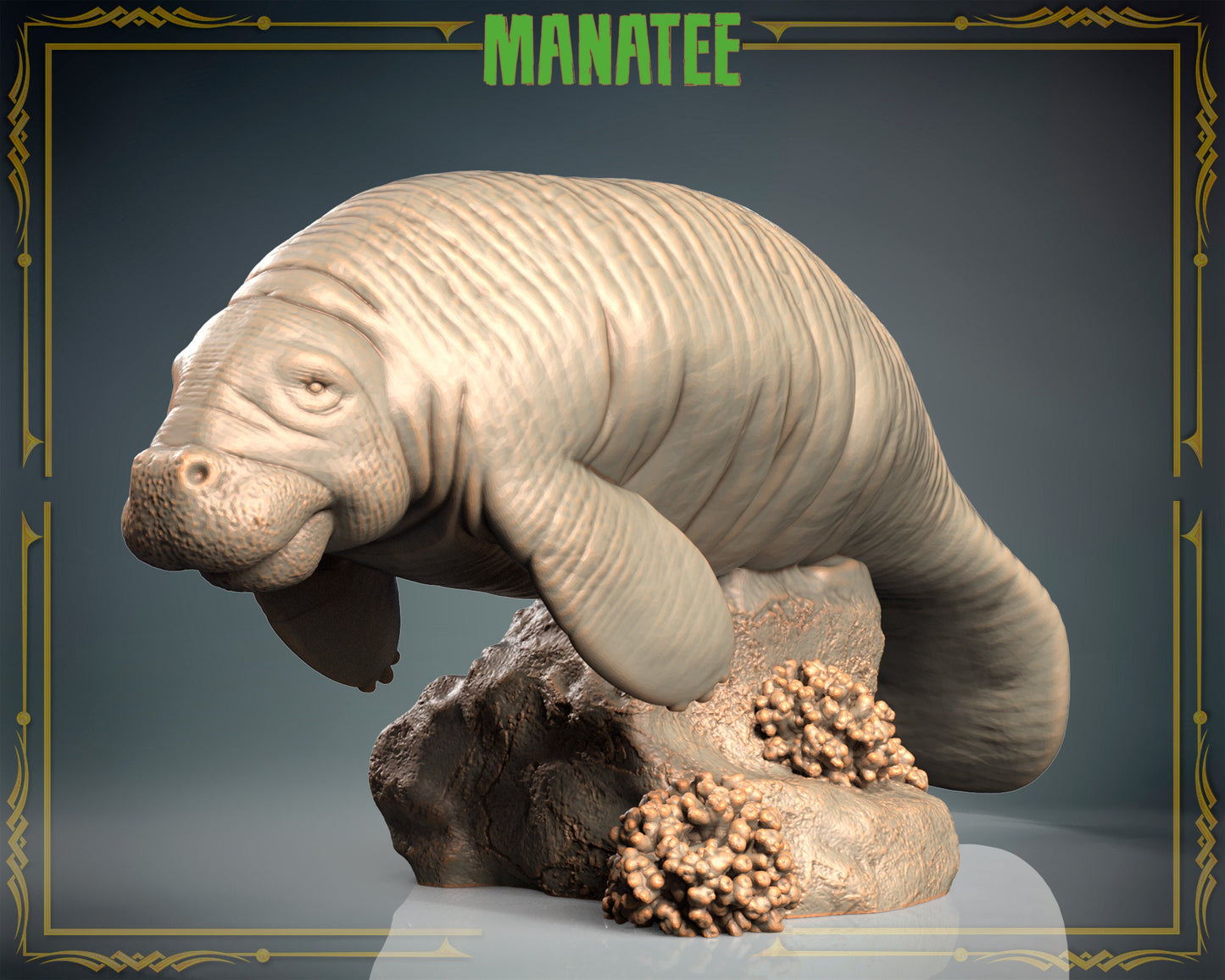 Manatee