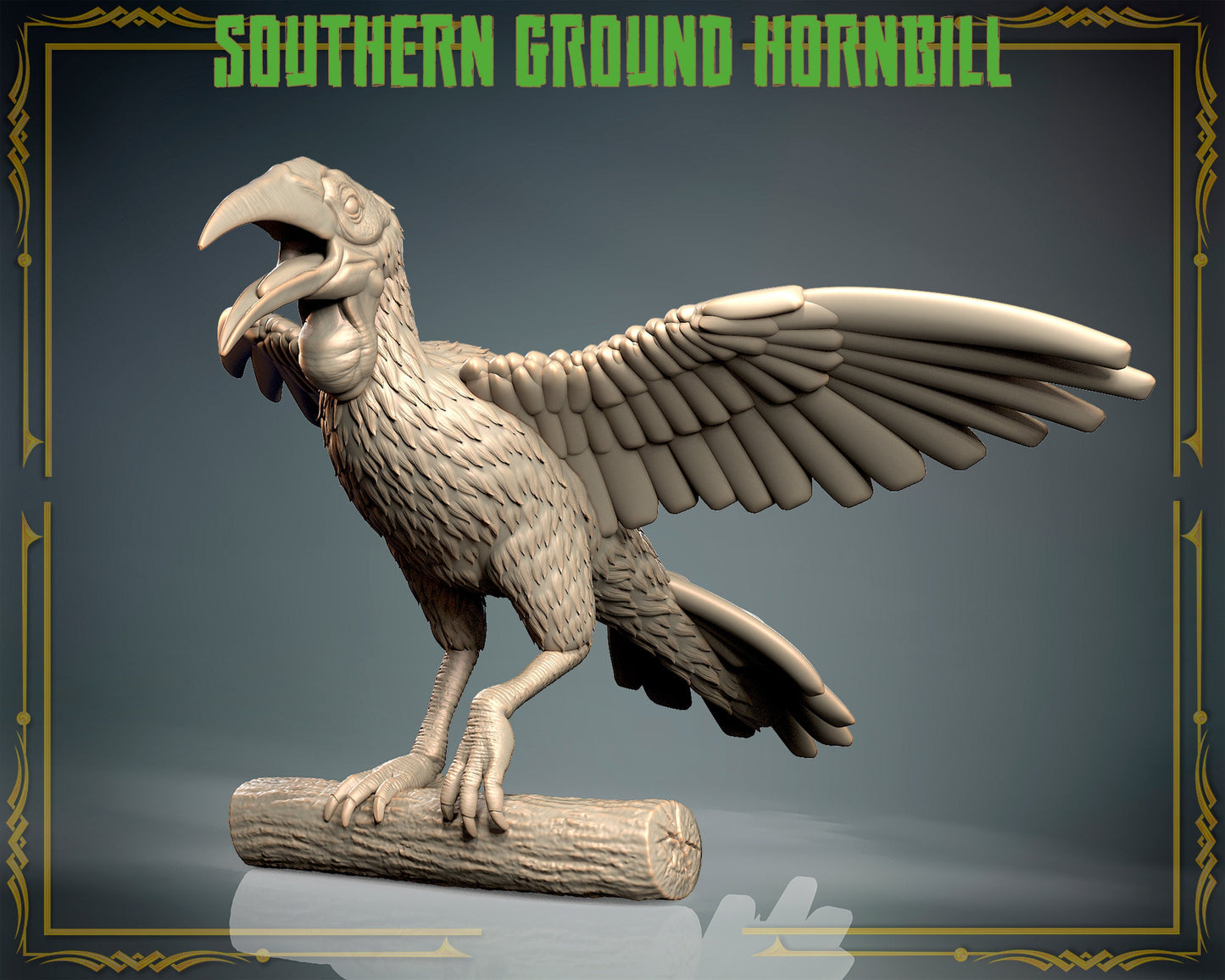 Hornbill
