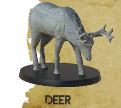 Deer