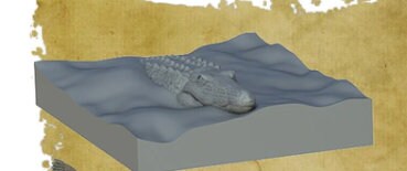 Crocodile