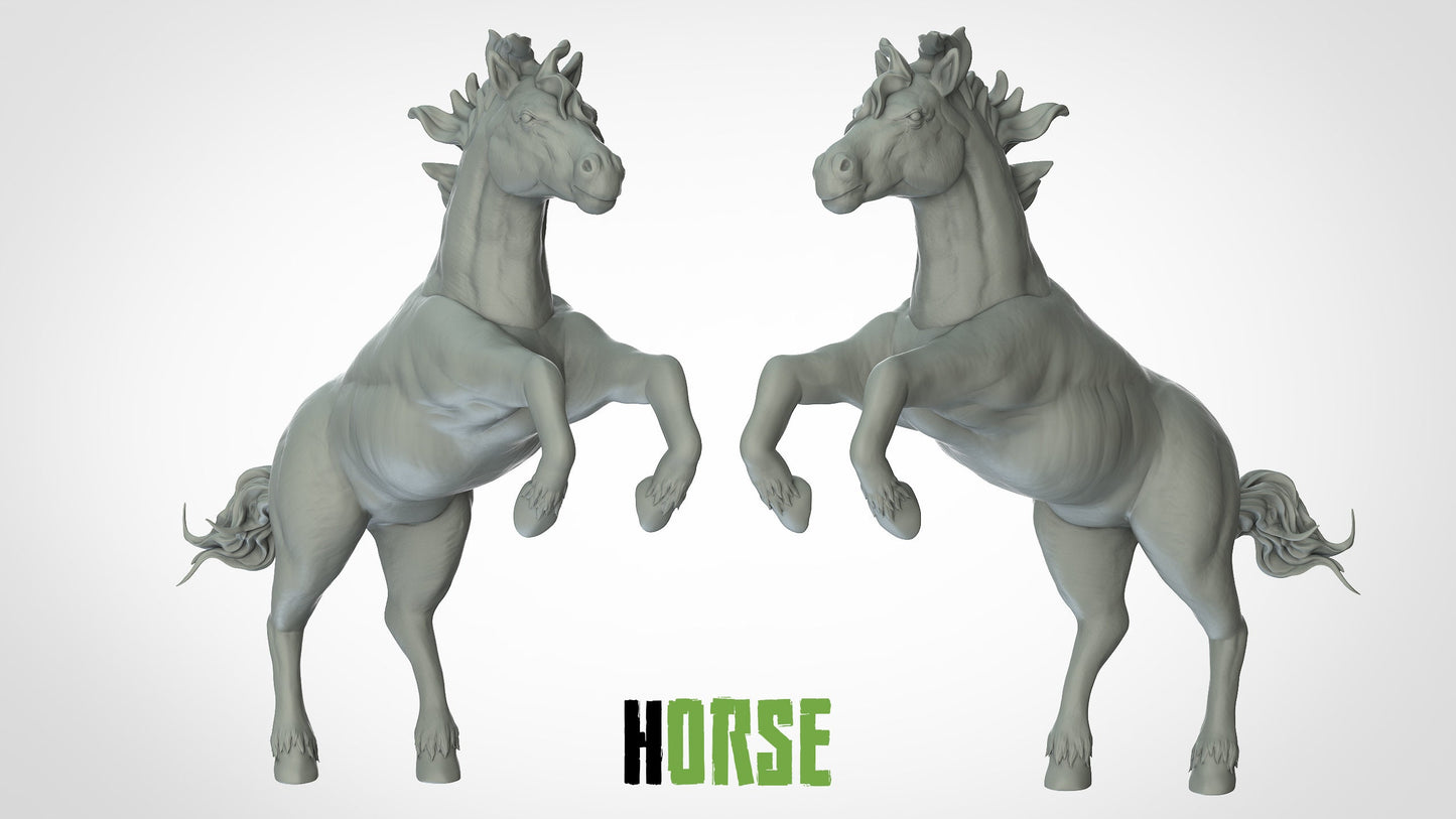 Horse