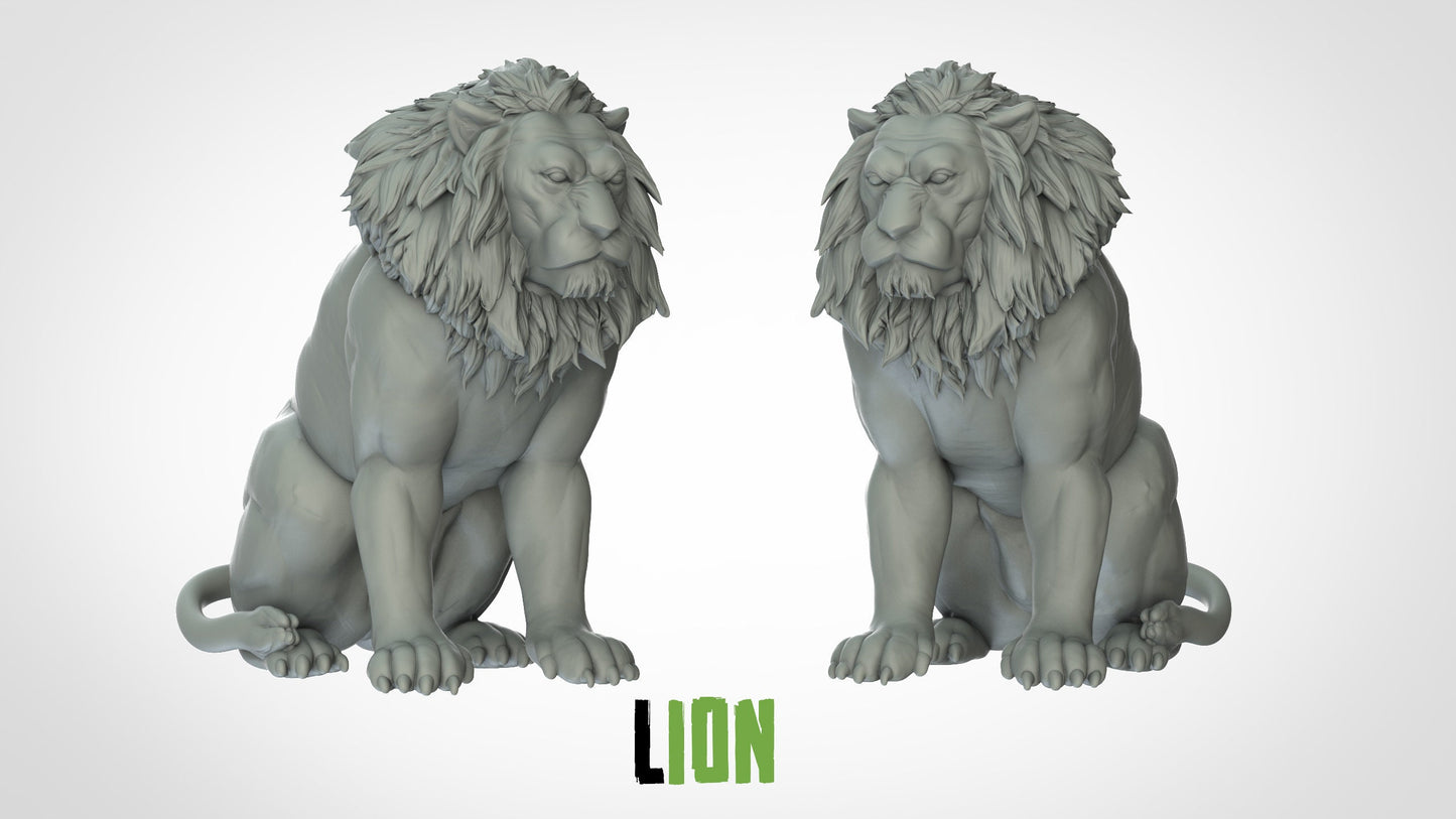 Lion King of the Jungle