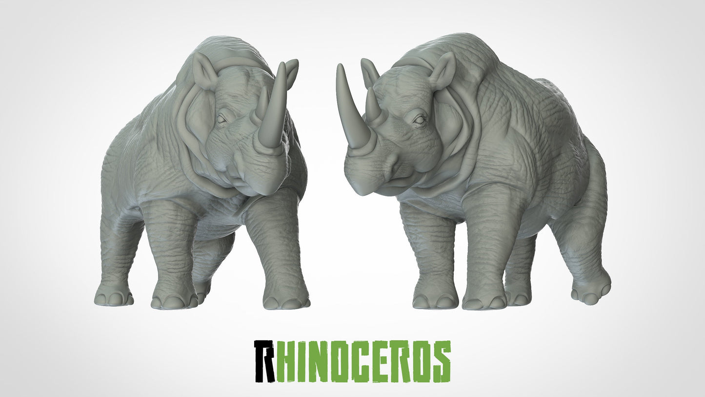 Rhinoceros