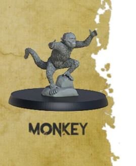 Monkey
