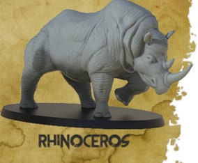 Rhinoceros