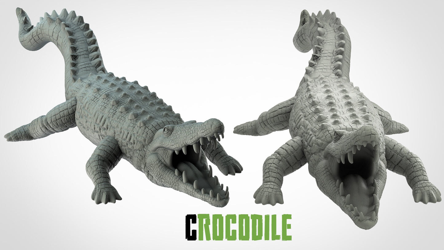 Crocodile