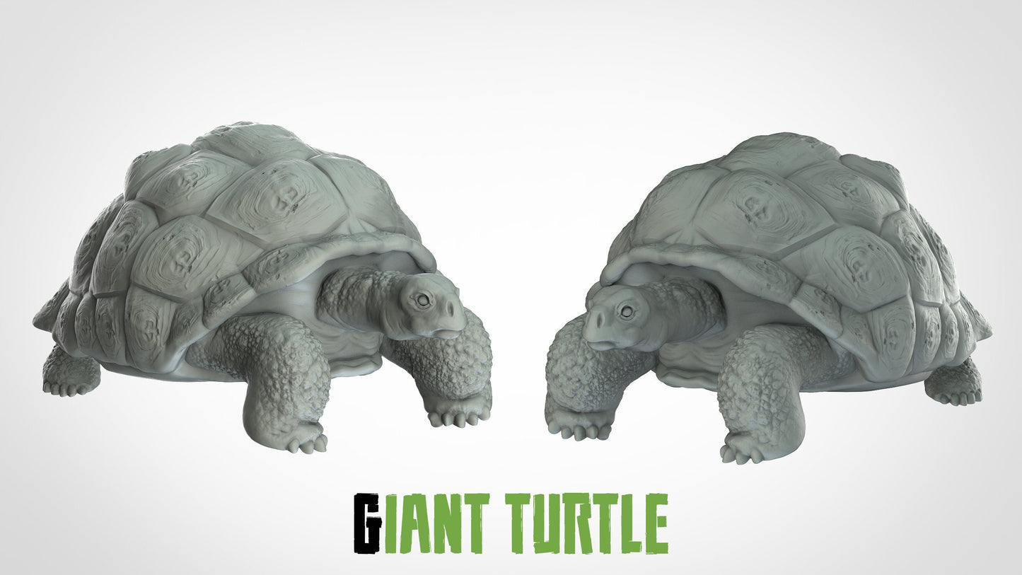 Turtle Giant Miniature