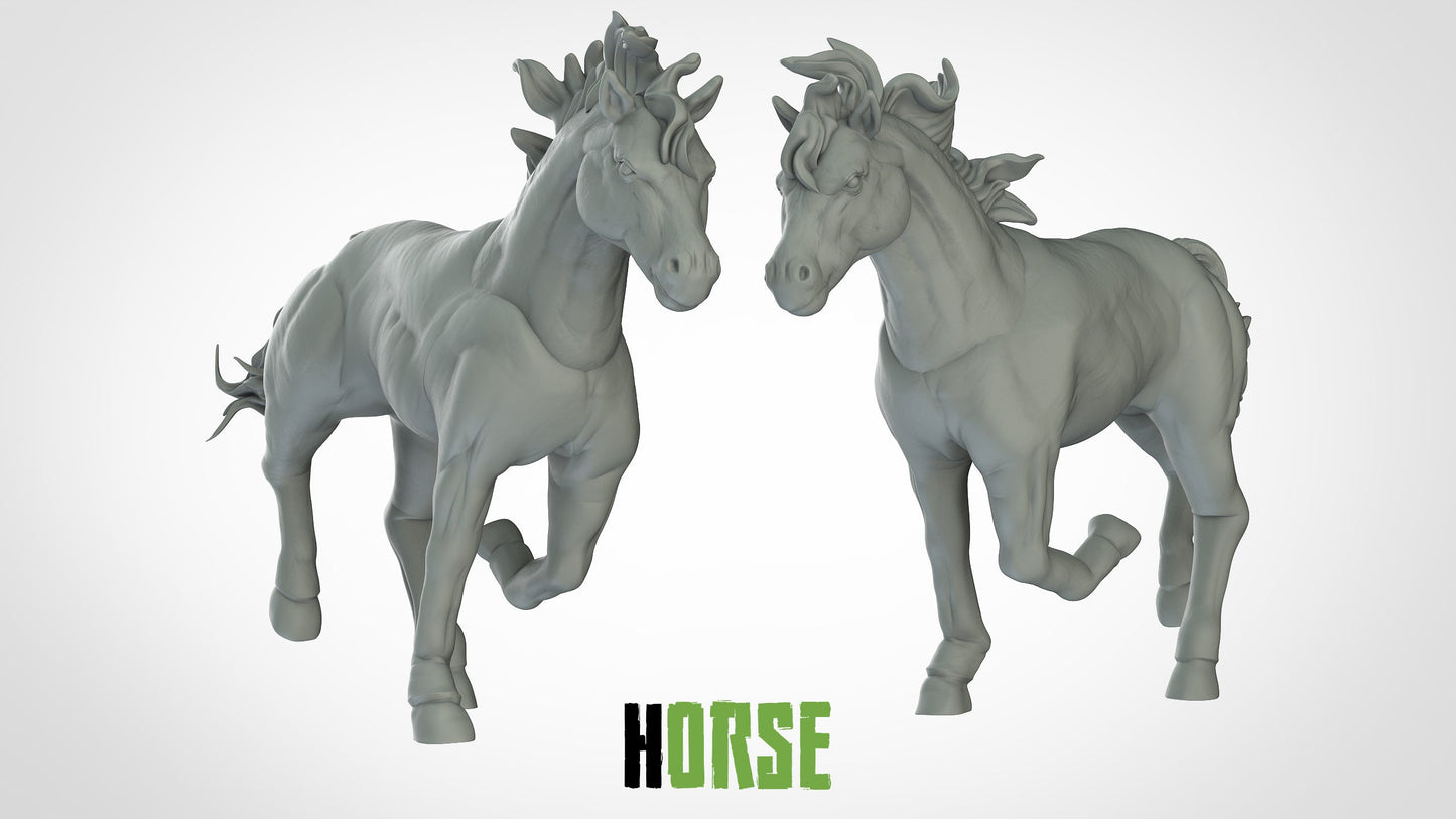Horse