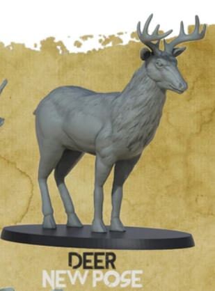 Deer