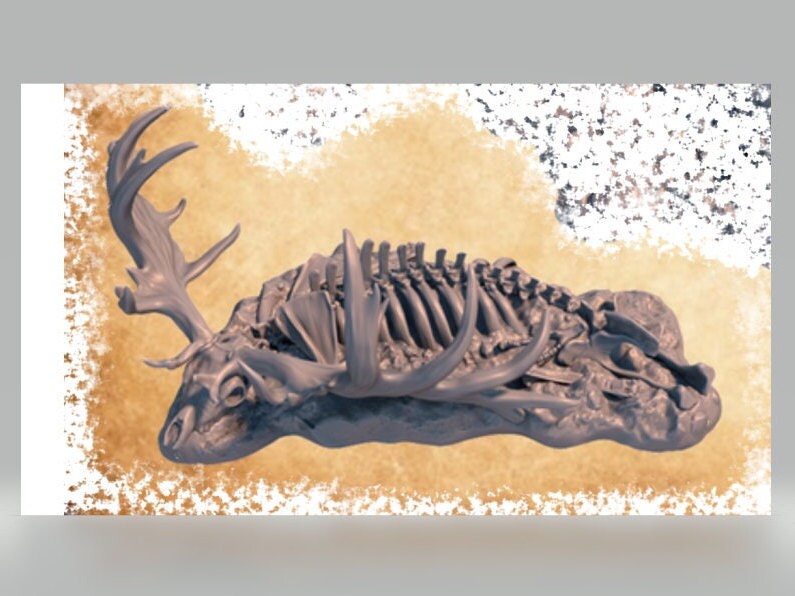 Animal Remains