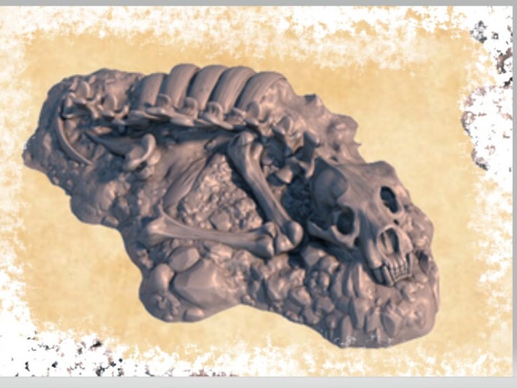 Animal Remains