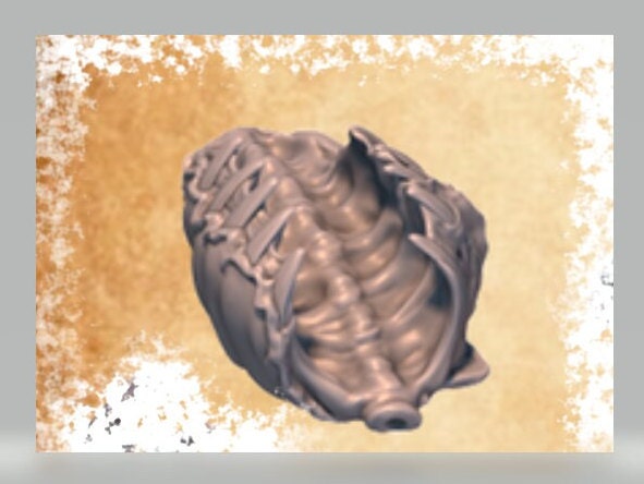 Animal Remains