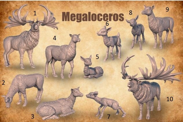 Prehistoric Megaloceros