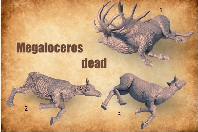 Prehistoric Megaloceros