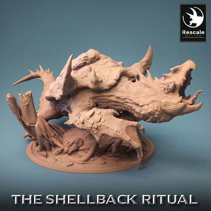 ShellBack Dragon Turtle Roar