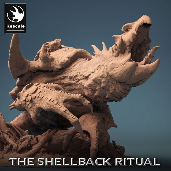 ShellBack Dragon Turtle Roar