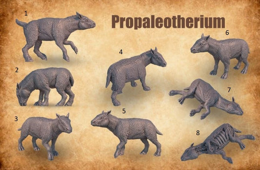 Prehistoric Propalaeotherium