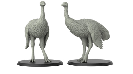 Ostrich