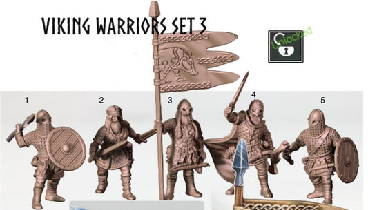 Viking Warriors - Viking Saga