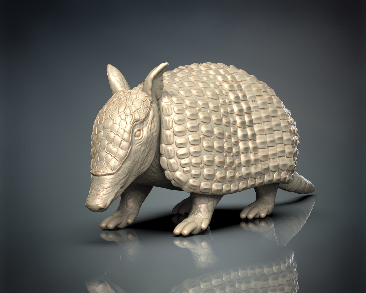 Armadillo